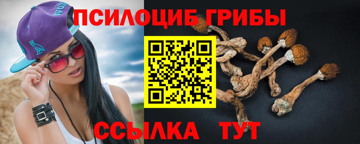 Котельники  Псилоцибиновые грибы прущие грибы  цена наркотик  Вход с VPN  Галлюциногенные грибы Psilocybe 